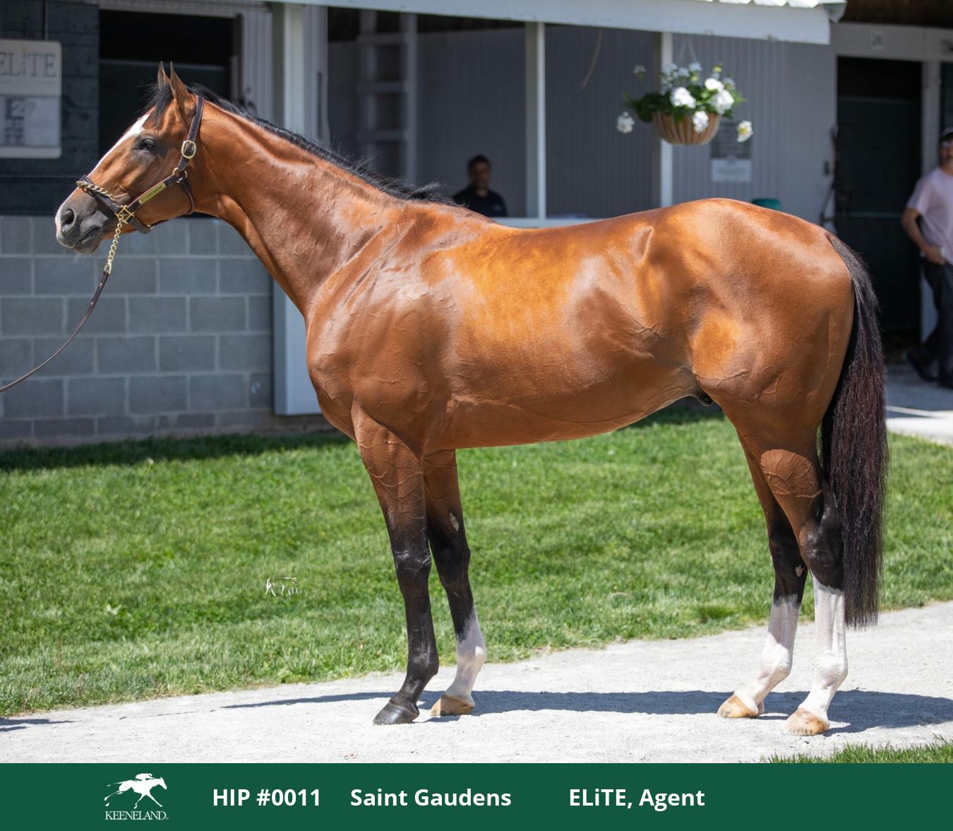 Keeneland Sales